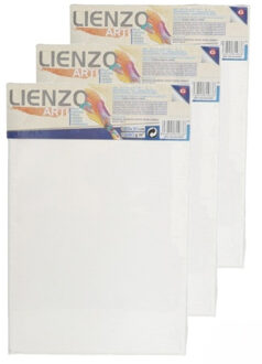 Gerimport Schilderdoek - 8x stuks - 30 x 20 cm - blanco canvas - rechthoekig - houten frame