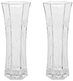 Gerimport Set van 2x stuks bloemenvazen van ornament glas 29 x 11 cm