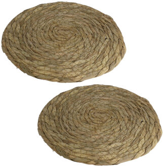 Gerimport Set van 2x stuks pannen onderzetter van zeegras rond 22 x 22 cm - Panonderzetters Beige