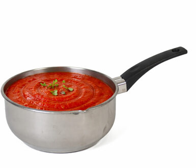 Gerimport Steelpan - RVS - D16 cm - sauspan/juspan - alle warmtebronnen