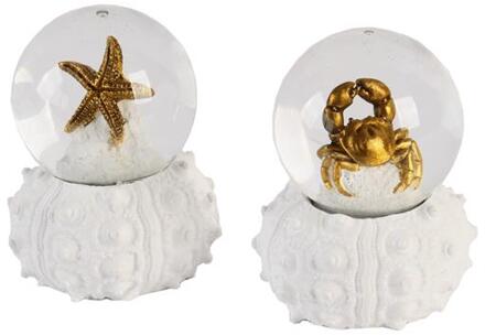 Gerkimex Schudbal zeester of krab Ø4,5x6cm verschillende