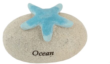 Gerkimex Steen met zeester ocean 8x5x5cm