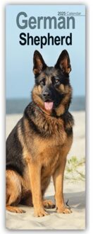 German Shepherd Slim Calendar 2025 Dog Breed Slimline Calendar - 12 Month - Slimline-Kalender - Avonside Publishing