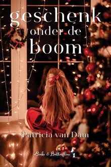 Geschenk onder de boom - Patricia Van Dam - ebook