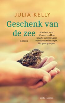 Geschenk van de zee - Julia Kelly - ebook