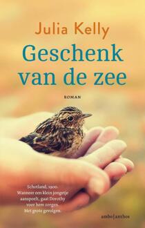 Geschenk van de zee -  Julia Kelly (ISBN: 9789026372384)