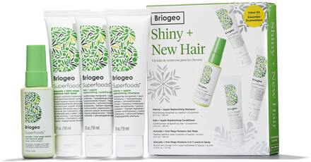 Geschenkset Briogeo Superfoods Shiny + New Kit 3 x 59 ml + 51 ml