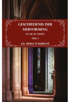 Geschiedenis der Hervorming in de 16e eeuw - Boek J.H. Merle d'Aubigné (905719323X)
