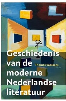 Geschiedenis van de moderne Nederlandse literatuur - Boek Thomas Vaessens (9460041337)
