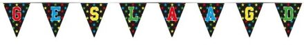 Geslaagd/afgestudeerd puntvlaggenlijn/slinger holografisch/sterren 4 meter feestversiering - Vlaggenlijnen Multikleur