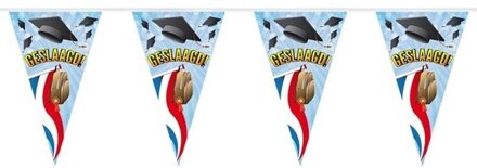 Geslaagd/afgestudeerd puntvlaggenlijn/slinger tas 10 meter feestversiering - Vlaggenlijnen Multikleur