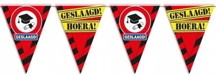 Geslaagd/afgestudeerd puntvlaggenlijn/slinger waarschuwingsbord 10 meter feestversiering - Feestslingers Multikleur