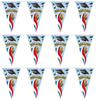 Geslaagd/afgestudeerd vlaggenlijn - 3x - slinger - 10 meter - Feestartikelen en versiering