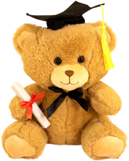 Geslaagd knuffelbeer met afstudeerhoed