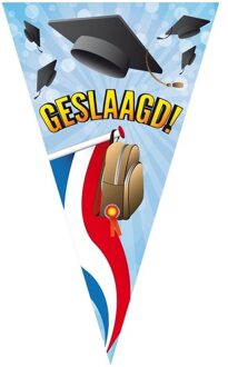 Geslaagd mega puntvlag 90 x 150 cm - Vlaggenlijnen Multikleur