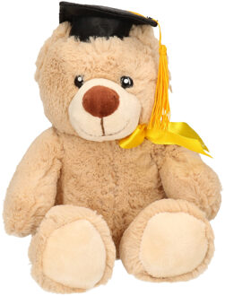 Geslaagd thema cadeau beer - beige - 20 cm - Pluche - afstudeer cadeau