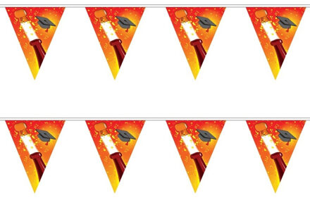 Geslaagd vlaggenlijn/slinger - 2x - champagne - 5 m - afgestudeerd feestartikelen