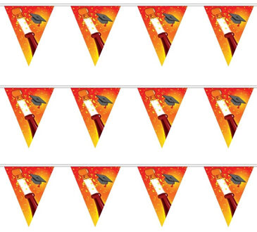 Geslaagd vlaggenlijn/slinger - 3x - champagne - 5 m - afgestudeerd feestartikelen