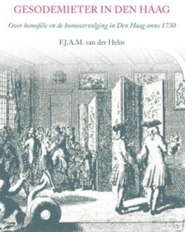 Gesodemieter in Den Haag - Boek F.J.A.M. van der Helm (9460081045)