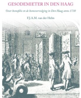 Gesodemieter in Den Haag - Boek F.J.A.M. van der Helm (9460081045)