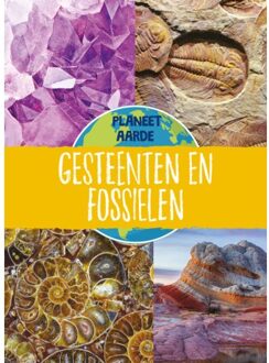 Gesteenten En Fossielen - Planeet Aarde - Annabel Griffin