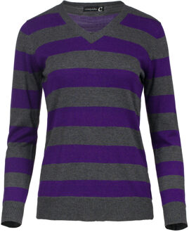 Gestreepte trui met lange mouwen en V-hals Donkergrijs - S