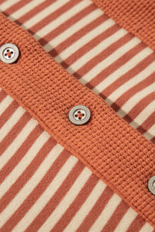 Gestript Lange Mouwen Overhemd met Knopen Bruin