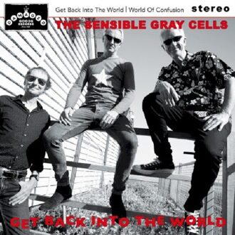 Get Back Into The World - Sensible Gray Cells