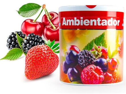 Geur gel bosvruchten geur - 95 gram - geur blikje - 6 x 7 cm - auto/interieurparfum/luchtverfrisser