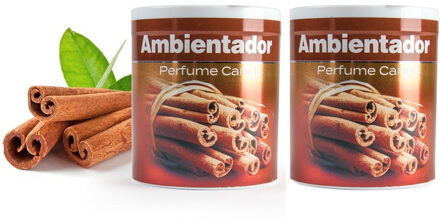 Geur gel Kaneel - 2x - 95 gram - geur blikje - 6 x 7 cm - auto/interieurparfum/luchtverfrisser