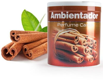 Geur gel Kaneel geur - 95 gram - geur blikje - 6 x 7 cm - auto/interieurparfum/luchtverfrisser