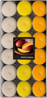 Geur theelichtjes/waxinelichtjes - Mega pack - 36x - Mango-papaya aroma - 4,5 branduren