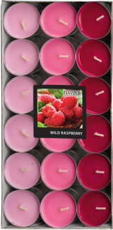 Geur theelichtjes/waxinelichtjes - Mega pack - 36x - Wild Raspberry aroma - 4,5 branduren