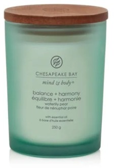 Geurkaarsen Chesapeake Bay Candle Geurkaars Balance & Harmony 250 g