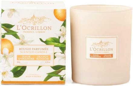 Geurkaarsen L'Ocrillon Scented Candle Orange Blossom 180 g