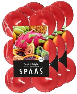 Geurtheelichtjes/waxinelichtjes - 36x - Tropical Delight - 4,5 branduren