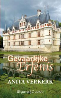 Gevaarlijke erfenis - Boek Anita Verkerk (9462041121)