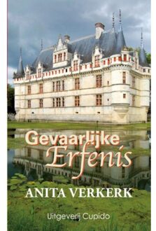 Gevaarlijke erfenis - Boek Anita Verkerk (9462041121)