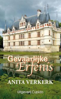 Gevaarlijke erfenis - eBook Anita Verkerk (9462040281)