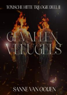 Gevallen vleugels -  Sanne van Ooijen (ISBN: 9789083492278)