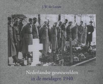 Gevallen voor Nederland - Boek J.W. de Leeuw (9461530684)