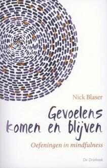Gevoelens komen en blijven - Boek Nick Blaser (9060307291)