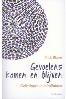 Gevoelens komen en blijven - Boek Nick Blaser (9060307291)