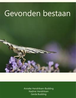 Gevonden bestaan - Boek Anneke Hendriksen-Budding (9051798423)