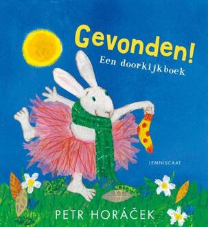 Gevonden! -  Petr Horáček (ISBN: 9789047717195)