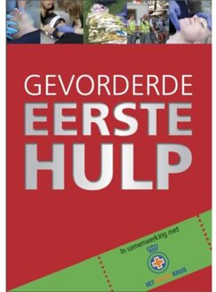 Gevorderde eerste hulp - Boek Pim de Ruijter (9491838016)