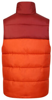 Gewatteerd herenvest Rood - XXL / XXXL