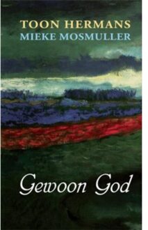 Gewoon God - Boek Toon Hermans (907524021X)