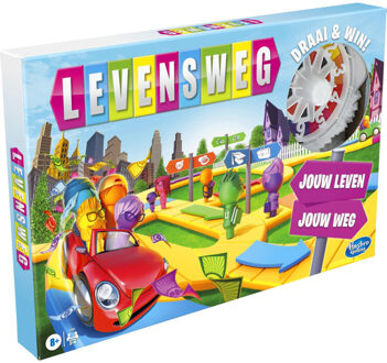 gezelschapsspel Levensweg (NL)