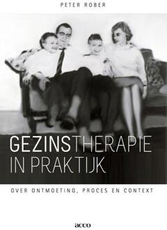 Gezinstherapie in praktijk - Boek Peter Rober (9033488213)